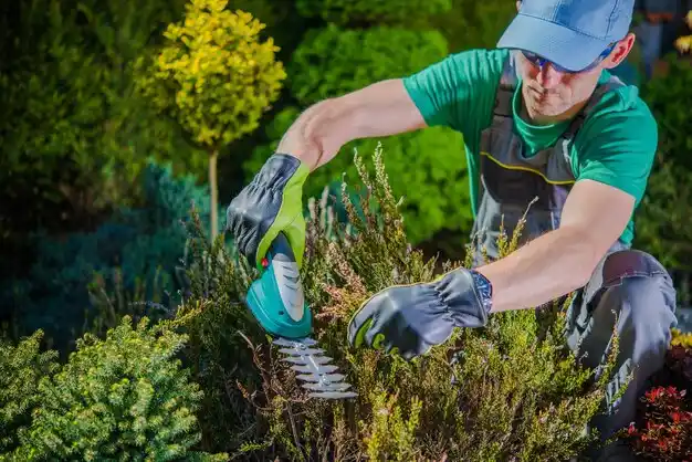 landscaping services Panama